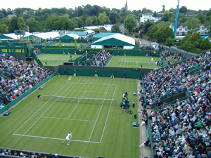 hingis